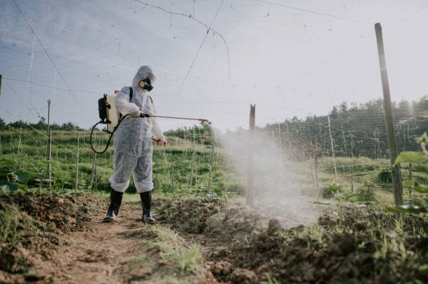 Best Pest Prevention Services  in Weaver, AL