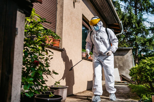 Best Flea Control Services  in Weaver, AL
