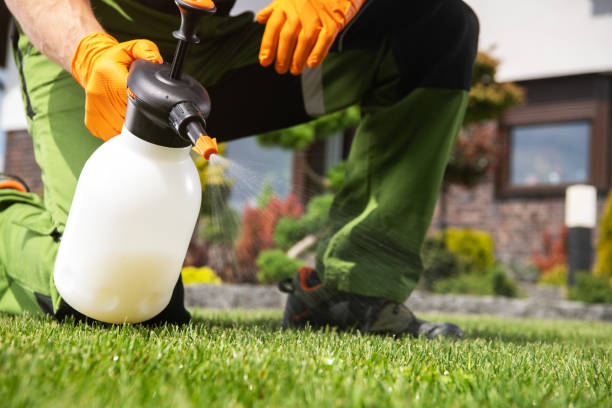 Best Ant Control Services  in Weaver, AL