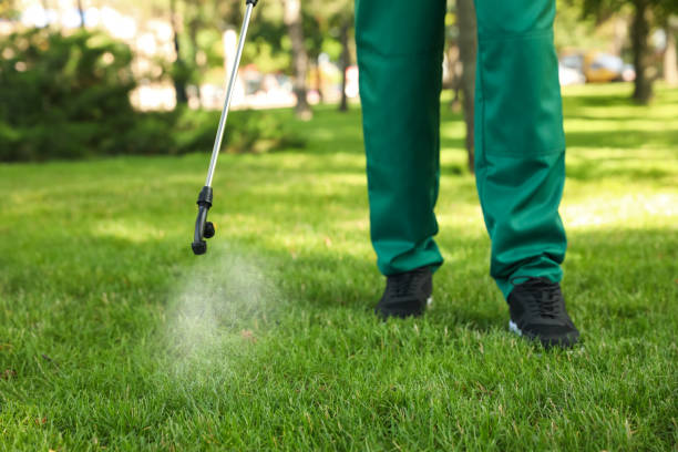 Best Termite Control Services  in Weaver, AL