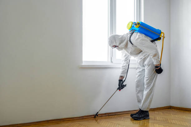 Best Bed Bug Extermination  in Weaver, AL