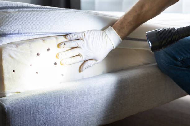 Best Pest Control for Restaurants  in Weaver, AL