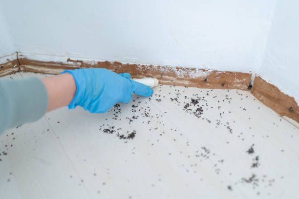 Best Exterminator Services  in Weaver, AL