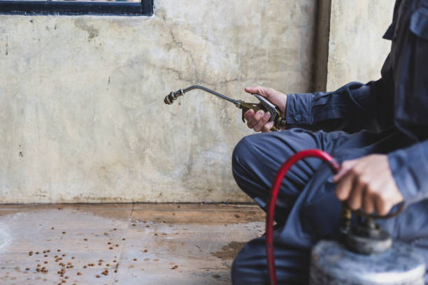 Best Mosquito Control Services  in Weaver, AL